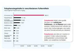 Versele Champion Plus IC+ Black Label, 20kg -Haustier Discounter antioxidantien 113