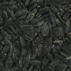 VERSELE-LAGA Sonnenblumenkerne Schwarz - Versele 15kg