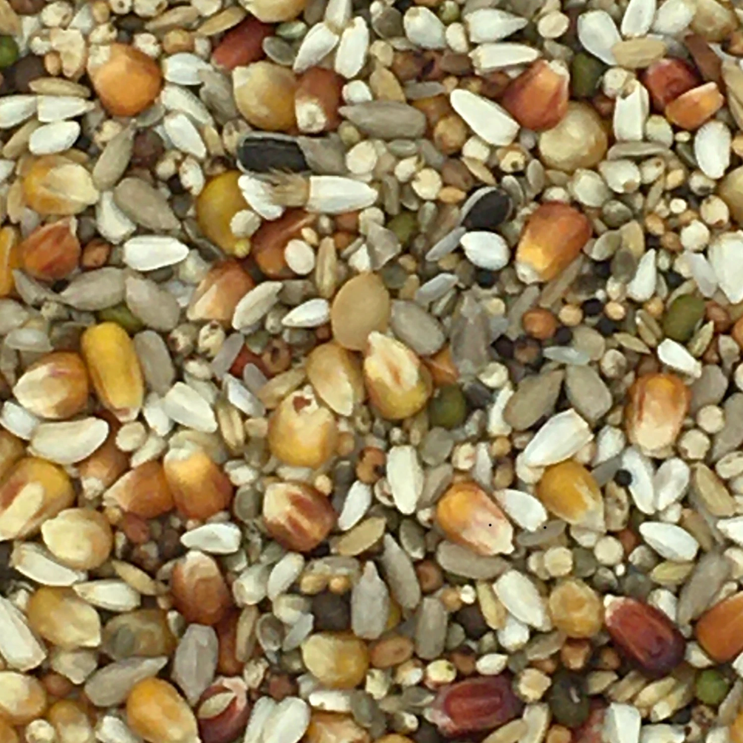 Vanrobaeys Nr.735 Super Champ Premium Power 20kg 1 Vanrobaeys Nr.735 Super Champ Premium Power 20kg