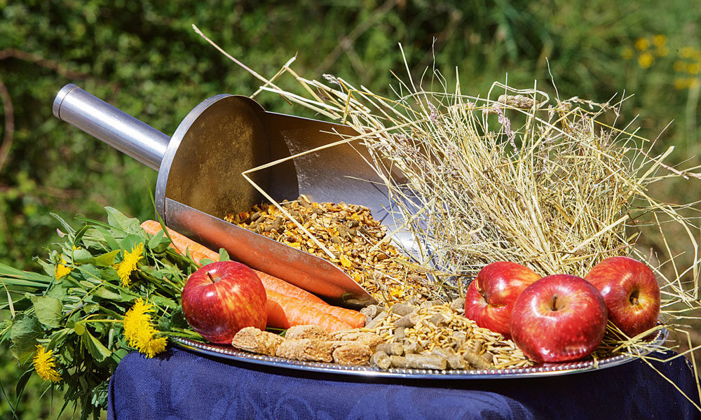 Haustier Discounter -Haustier Discounter 2